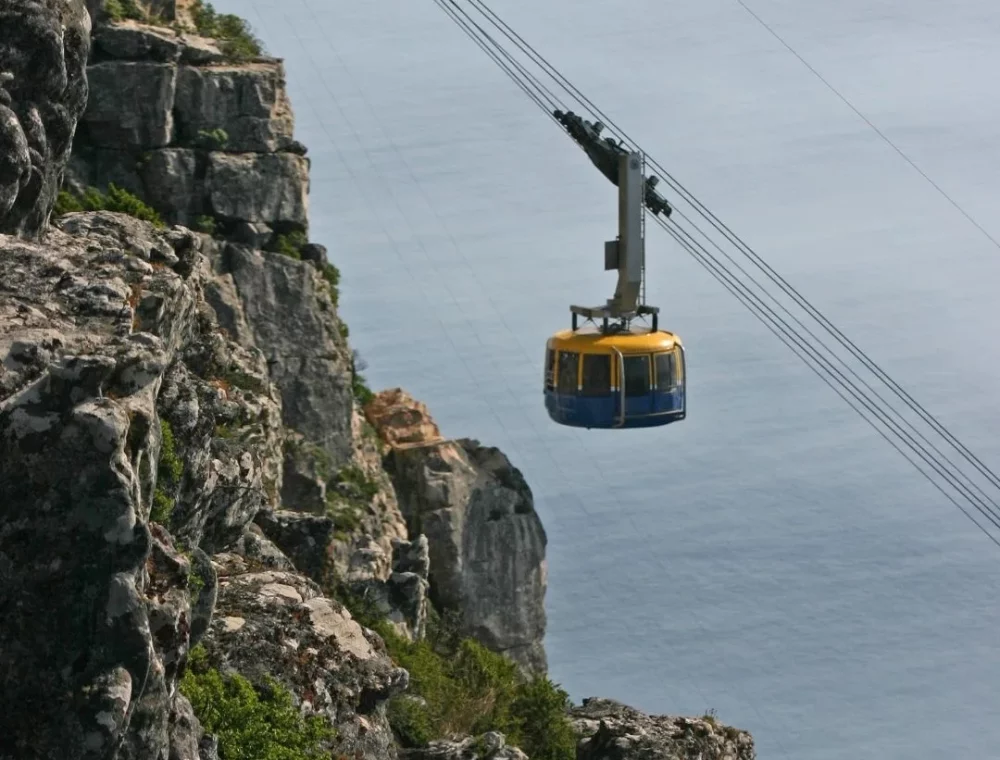 Take the cable car up Table Mountain Ride the Table Mountain Aerial Cableway, a short drive from EIGHTY2 ON M, for panoramic views of Cape Town and an iconic experience.